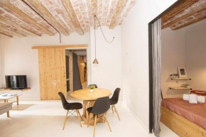 Apartamento Tr Auriga en el Barri Vell Girona